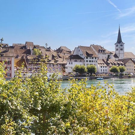 Apartament Am Hochrhein Desko Gailingen am Hochrhein Zewnętrze zdjęcie