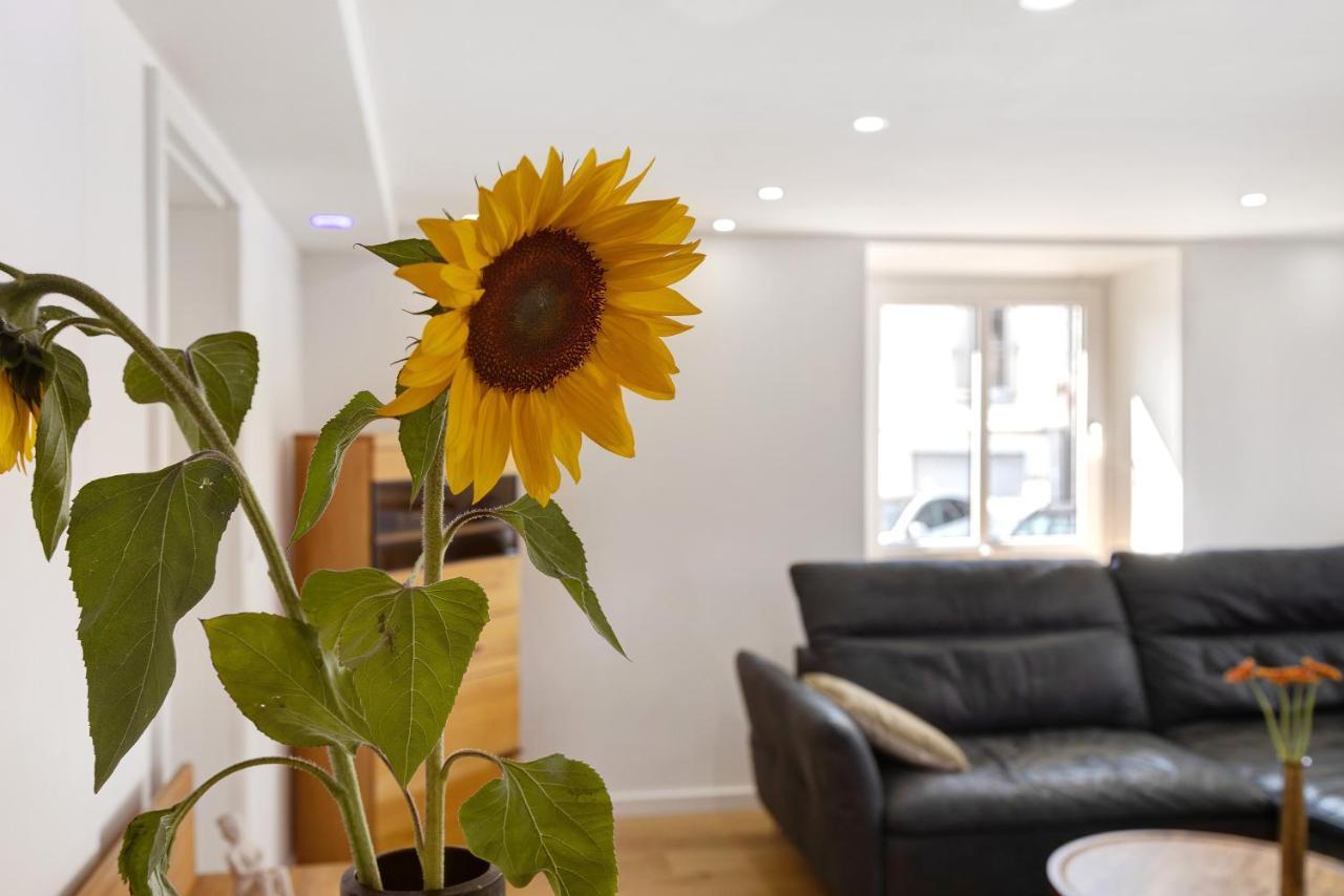 Apartament Am Hochrhein Desko Gailingen am Hochrhein Zewnętrze zdjęcie